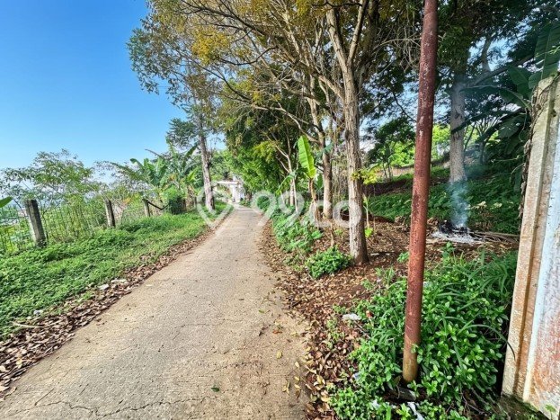 Jarang Ada! Tanah di Cidadap Punya Luas 1650m2 SHM Jarang Ada! Tanah di Cidadap Punya Luas 1650m2 SHM