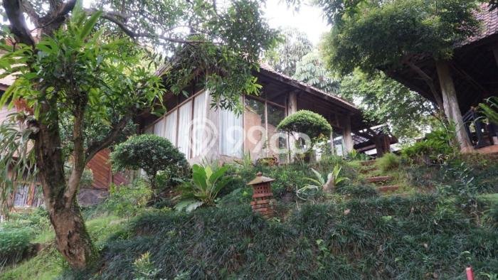 Siap Huni Rumah Mewah 6 Kamar di Cinere Dekat ke Mana Saja Siap Huni Rumah Mewah 6 Kamar di Cinere Dekat ke Mana Saja