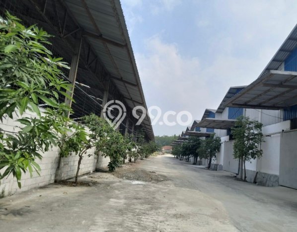 Gudang Disewakan Kawasan Jonggol, Luas 500m2m², Lingkungan Komersial Gudang Disewakan Kawasan Jonggol, Luas 500m2m², Lingkungan Komersial