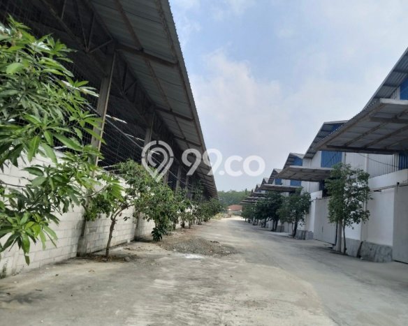 Gudang Disewakan Kawasan Jonggol, Luas 500m2m², Lingkungan Komersial Gudang Disewakan Kawasan Jonggol, Luas 500m2m², Lingkungan Komersial
