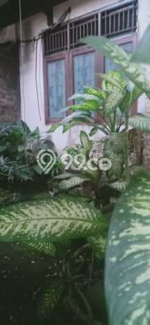 Hunian Elit LB 160m2 Siap Huni Desain Elegan di Pondok Kelapa, Jakarta Timur Hunian Elit LB 160m2 Siap Huni Desain Elegan di Pondok Kelapa, Jakarta Timur