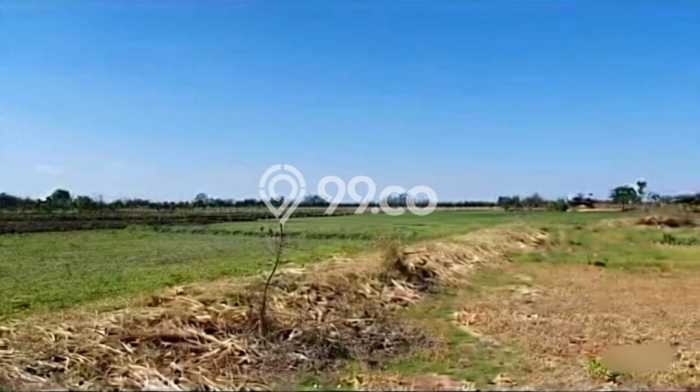 Jual Tanah di Gresik, Luas 50424m2m², Lingkungan Nyaman, Kontur Rata Jual Tanah di Gresik, Luas 50424m2m², Lingkungan Nyaman, Kontur Rata