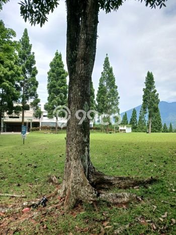 Kavling Tanah Dijual di Bogor Selatan Bogor Spesifikasi 1167m2 Kavling Tanah Dijual di Bogor Selatan Bogor Spesifikasi 1167m2