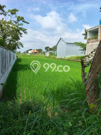 Disewakan Tanah Seluas 2190m2 di Prambanan, Klaten Disewakan Tanah Seluas 2190m2 di Prambanan, Klaten