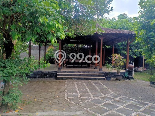 Siap Huni Rumah Mewah 5 Kamar di Kotagede Dekat ke Mana Saja Siap Huni Rumah Mewah 5 Kamar di Kotagede Dekat ke Mana Saja
