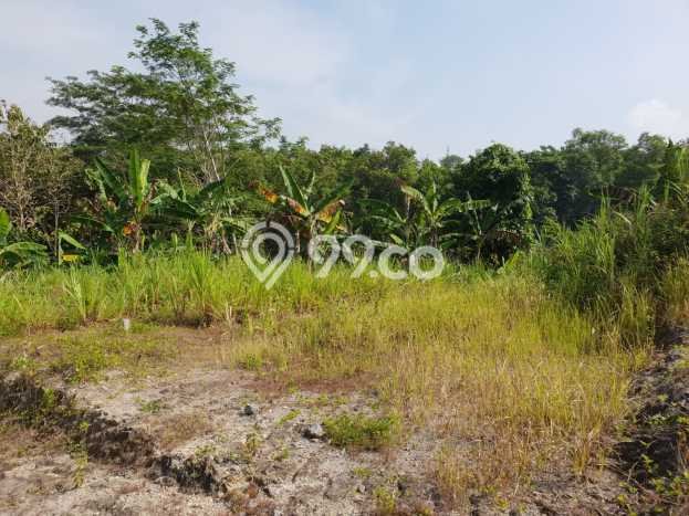 Tanah Kavling di Sedayu Dijual dengan Luas 359m2 Tanah Kavling di Sedayu Dijual dengan Luas 359m2