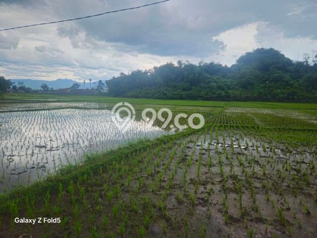 Tanah Strategis Dijual di Warungkondang Cianjur 90000m2 Tanah Strategis Dijual di Warungkondang Cianjur 90000m2