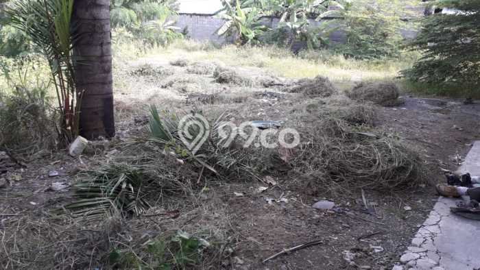 Gudang Kawasan Bisnis Kawasan Kendal, Luas 650m², Akses Strategis Gudang Kawasan Bisnis Kawasan Kendal, Luas 650m², Akses Strategis