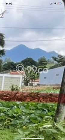 Tanah Dijual Lokasi Parongpong Bandung Barat SHM Tanah Dijual Lokasi Parongpong Bandung Barat SHM
