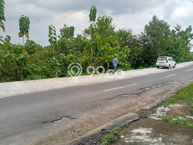 Tanah Dijual Lokasi Gondangrejo, Karanganyar Luas 2684m2 Legalitas Aman Tanah Dijual Lokasi Gondangrejo, Karanganyar Luas 2684m2 Legalitas Aman