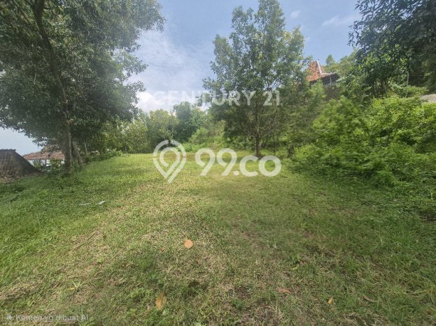 Untuk Dijual Tanah di Prambanan Sleman Luas 1853m2 SHM Untuk Dijual Tanah di Prambanan Sleman Luas 1853m2 SHM