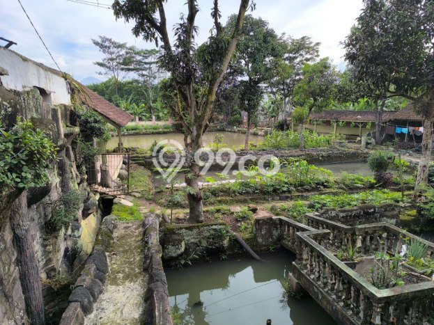 Dijual Cepat Rumah Favorit Siap Huni LB 350m2 di Pameungpeuk, Bandung Dijual Cepat Rumah Favorit Siap Huni LB 350m2 di Pameungpeuk, Bandung