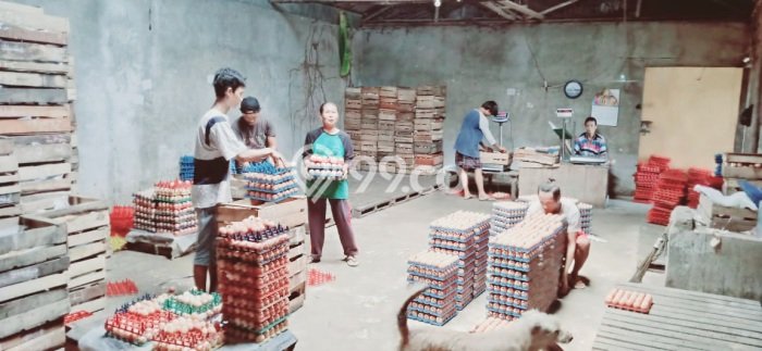 Unit Komersial Dijual di Mauk Tangerang Luas Tanah 32000m2, Luas Bangunan 4000m2 Unit Komersial Dijual di Mauk Tangerang Luas Tanah 32000m2, Luas Bangunan 4000m2