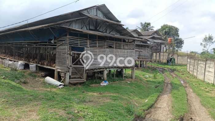 Komersial Paling Dicari LB 10000m2 Dijual di Cigudeg Komersial Paling Dicari LB 10000m2 Dijual di Cigudeg