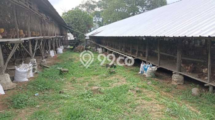 Komersial Paling Dicari LB 10000m2 Dijual di Cigudeg Komersial Paling Dicari LB 10000m2 Dijual di Cigudeg