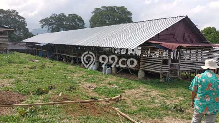 Komersial Paling Dicari LB 10000m2 Dijual di Cigudeg Komersial Paling Dicari LB 10000m2 Dijual di Cigudeg