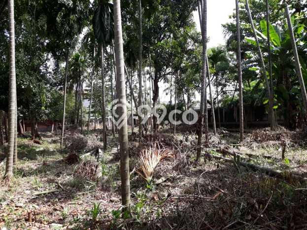 Tanah Dijual Lokasi Duren Sawit Jakarta Timur SHM Tanah Dijual Lokasi Duren Sawit Jakarta Timur SHM