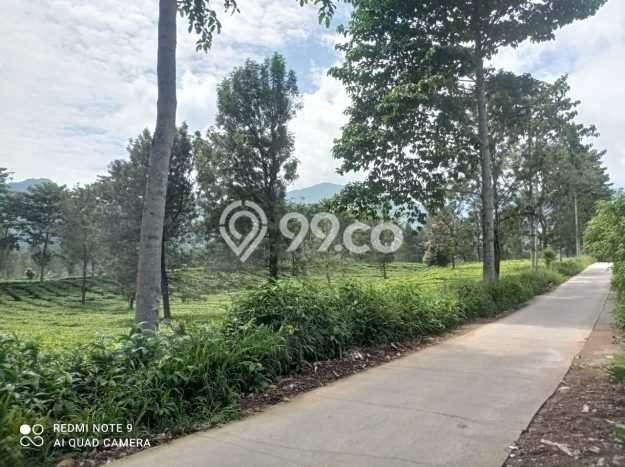 Kavling Tanah untuk Dijual di Puncak, Bogor, Luas 12000m2 Kavling Tanah untuk Dijual di Puncak, Bogor, Luas 12000m2