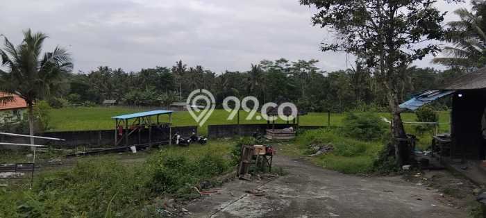 Kavling Tanah Dijual di Tabanan Tabanan Spesifikasi 4300m2 Kavling Tanah Dijual di Tabanan Tabanan Spesifikasi 4300m2