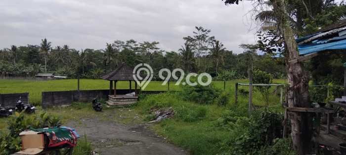 Kavling Tanah Dijual di Tabanan Tabanan Spesifikasi 4300m2 Kavling Tanah Dijual di Tabanan Tabanan Spesifikasi 4300m2