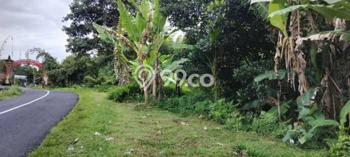 Lahan untuk Dijual di Tabanan Tabanan Luas 6300m2 Lahan untuk Dijual di Tabanan Tabanan Luas 6300m2