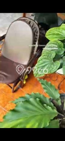 Siap Huni Hunian Elit 5 Kamar di Menteng Dekat ke Mana Saja Siap Huni Hunian Elit 5 Kamar di Menteng Dekat ke Mana Saja
