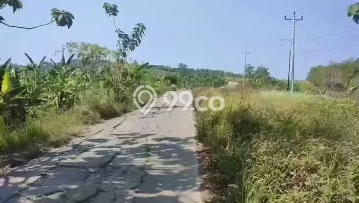 Tanah Lokasi Strategis Kawasan Meteseh, Luas 13308m², Dekat ke Pusat Kota, Lingkungan Nyaman Tanah Lokasi Strategis Kawasan Meteseh, Luas 13308m², Dekat ke Pusat Kota, Lingkungan Nyaman