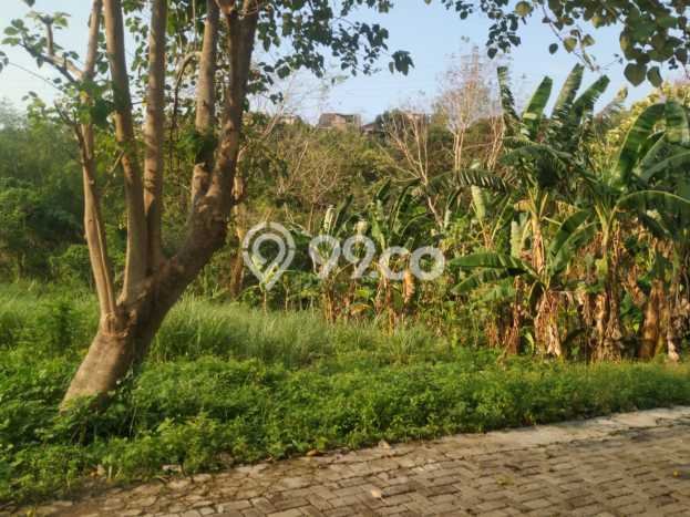 Tanah Kawasan Ngaliyan, Luas 216m2m², Area Strategis, Lingkungan Nyaman Tanah Kawasan Ngaliyan, Luas 216m2m², Area Strategis, Lingkungan Nyaman