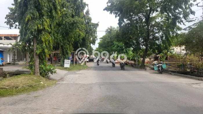 Untuk Dijual Tanah di Semarang, Luas 1990m2 SHM Untuk Dijual Tanah di Semarang, Luas 1990m2 SHM