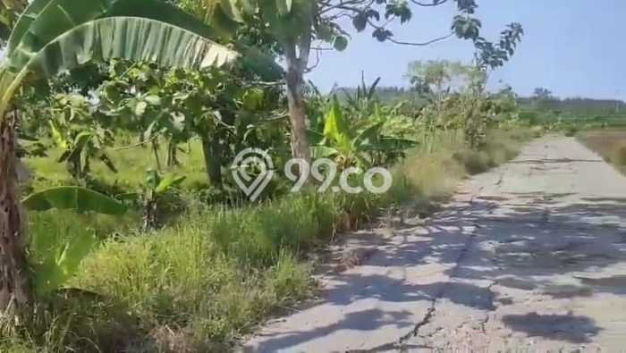 Tanah Lokasi Strategis Kawasan Meteseh, Luas 13308m², Dekat ke Pusat Kota, Lingkungan Nyaman Tanah Lokasi Strategis Kawasan Meteseh, Luas 13308m², Dekat ke Pusat Kota, Lingkungan Nyaman