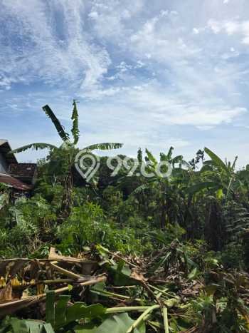 Disewakan Segera Tanah di Denpasar Selatan Luas 2705m2 Area Potensial Disewakan Segera Tanah di Denpasar Selatan Luas 2705m2 Area Potensial
