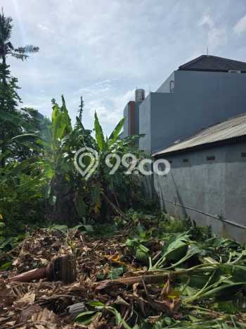 Disewakan Segera Tanah di Denpasar Selatan Luas 2705m2 Area Potensial Disewakan Segera Tanah di Denpasar Selatan Luas 2705m2 Area Potensial