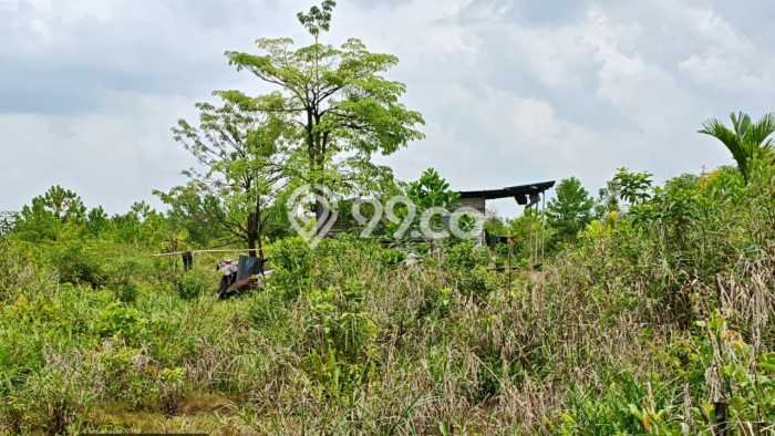 Tanah Kosong Dijual di Pekanbaru dengan Area 175000m2 Tanah Kosong Dijual di Pekanbaru dengan Area 175000m2