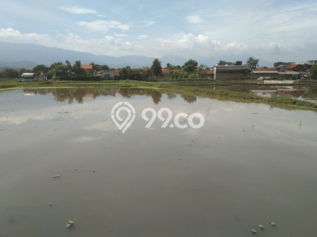 Tanah di Majalaya, Bandung Luas 35000m2 Dijual Segera Tanah di Majalaya, Bandung Luas 35000m2 Dijual Segera