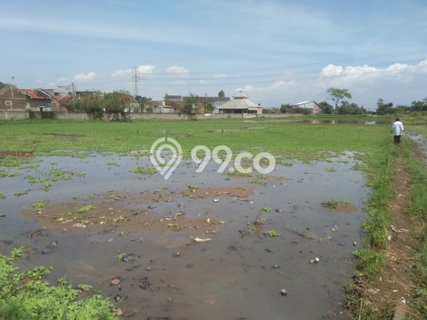 Tanah di Majalaya, Bandung Luas 35000m2 Dijual Segera Tanah di Majalaya, Bandung Luas 35000m2 Dijual Segera