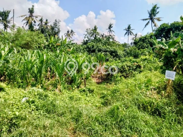 Tanah Kavling Dijual di Gianyar dengan Spesifikasi 190m2 Tanah Kavling Dijual di Gianyar dengan Spesifikasi 190m2