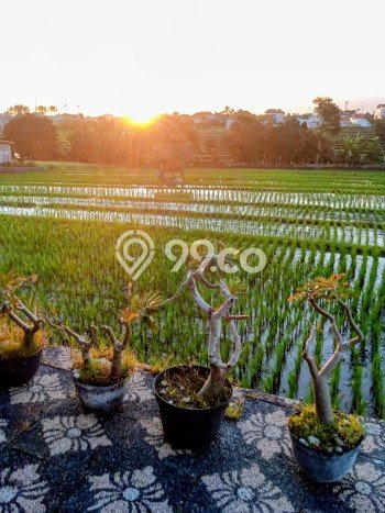 Disewakan Vila Kawasan , Luas 0m2m², Dekat ke Badung, Badung, Harga Terjangkau Disewakan Vila Kawasan , Luas 0m2m², Dekat ke Badung, Badung, Harga Terjangkau