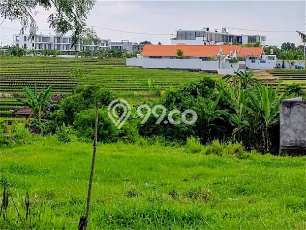 Untuk Disewa Tanah di Badung, Luas 647m2 Area Berkembang Untuk Disewa Tanah di Badung, Luas 647m2 Area Berkembang