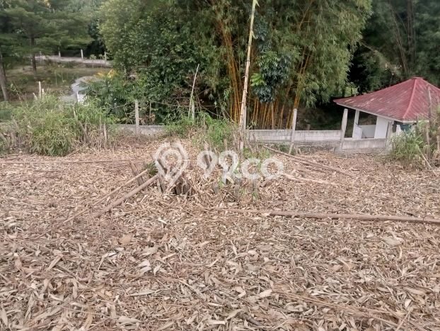 Tanah Dijual Lokasi Cilodong, Depok Luas 1616m2 Legalitas Aman Tanah Dijual Lokasi Cilodong, Depok Luas 1616m2 Legalitas Aman