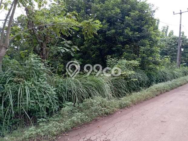 Tanah Dijual Lokasi Setu, Bekasi Luas 1600m2 Legalitas Aman Tanah Dijual Lokasi Setu, Bekasi Luas 1600m2 Legalitas Aman