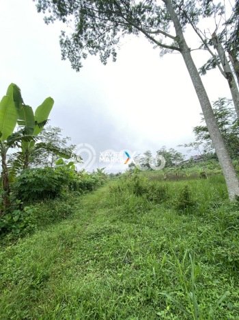 Tanah Dijual di Malang Seluas 139m2 Strategis Tanah Dijual di Malang Seluas 139m2 Strategis
