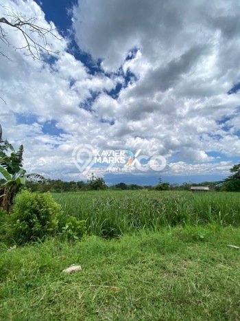 Tanah Komersial Dijual di Singosari Malang 34800m2 Tanah Komersial Dijual di Singosari Malang 34800m2
