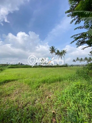 Tanah untuk Dijual Lokasi Jabung, Malang Luas 4402m2 SHM Tanah untuk Dijual Lokasi Jabung, Malang Luas 4402m2 SHM