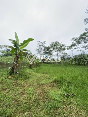 Tanah Dijual di Malang Seluas 139m2 Strategis Tanah Dijual di Malang Seluas 139m2 Strategis