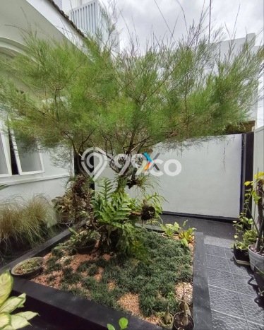 Dijual Cepat Rumah Favorit Siap Huni LB 162m2 di Pakis, Malang Dijual Cepat Rumah Favorit Siap Huni LB 162m2 di Pakis, Malang