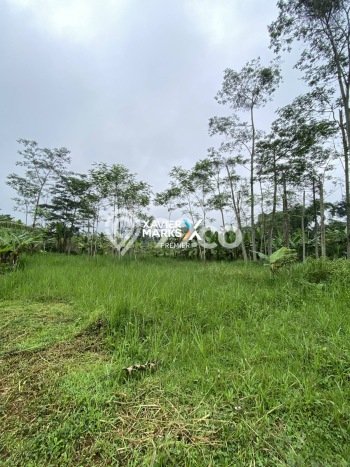 Tanah Dijual di Malang Seluas 139m2 Strategis Tanah Dijual di Malang Seluas 139m2 Strategis