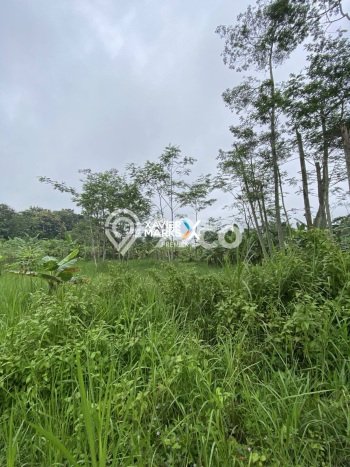 Tanah Dijual di Malang Seluas 139m2 Strategis Tanah Dijual di Malang Seluas 139m2 Strategis