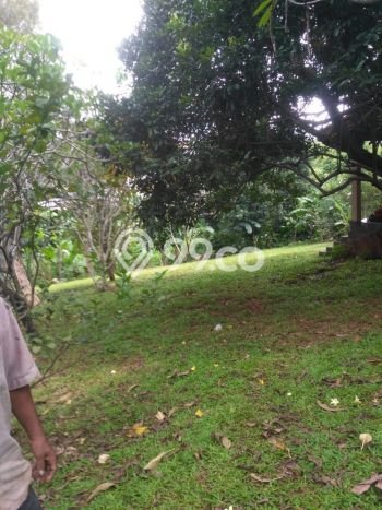 Tanah untuk Dijual Lokasi Sukma Jaya, Depok Luas 13330m2 SHM Tanah untuk Dijual Lokasi Sukma Jaya, Depok Luas 13330m2 SHM