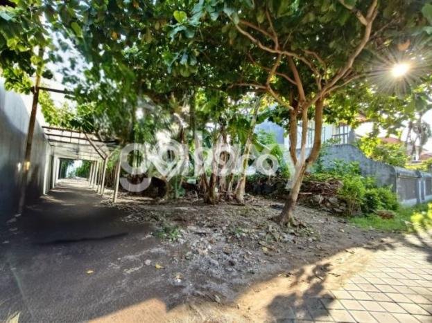 Dijual Tanah di Kuta Selatan Badung Luas 250m2 SHM Dijual Tanah di Kuta Selatan Badung Luas 250m2 SHM
