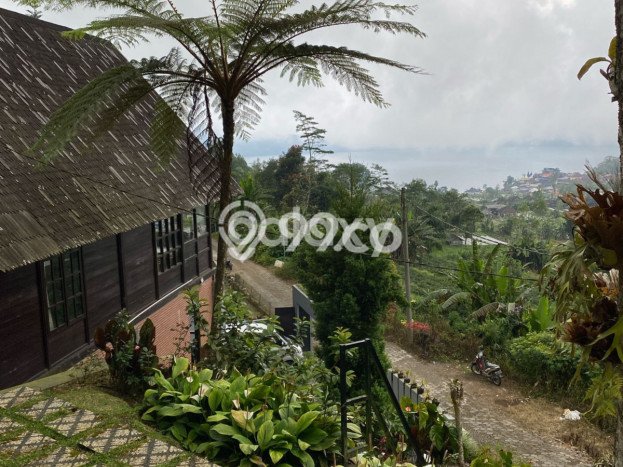 Dijual Vila Kawasan Baturiti, Luas 1150m2m², Lokasi Premium Dijual Vila Kawasan Baturiti, Luas 1150m2m², Lokasi Premium